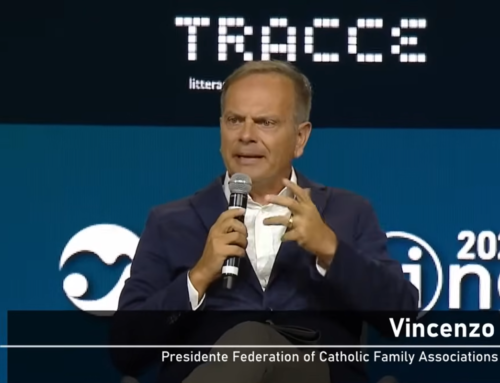 FAFCE President Vincenzo Bassi’s full speech at Rimini Meeting 2024